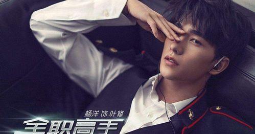 全职演员表,实力派齐聚，演绎精彩人生