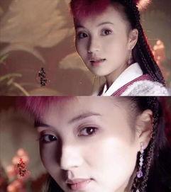 娱乐圈相夫教子小说